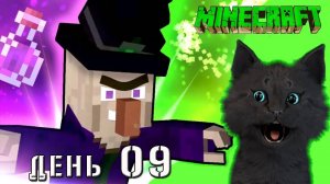 Minecraft НА СУПЕР КОТА НАПАЛА ВЕДЬМА С БАНКАМИ 🐱 ВЫЖИВАНИЕ 100  ДЕНЬ 09