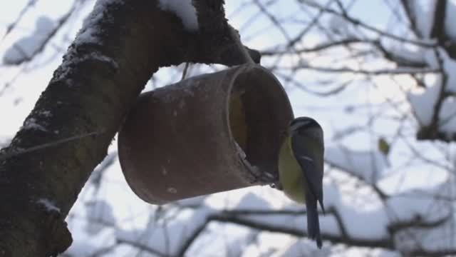 Очень красивое стихотворение о зиме  "Зимний След" Читает автор канала.
