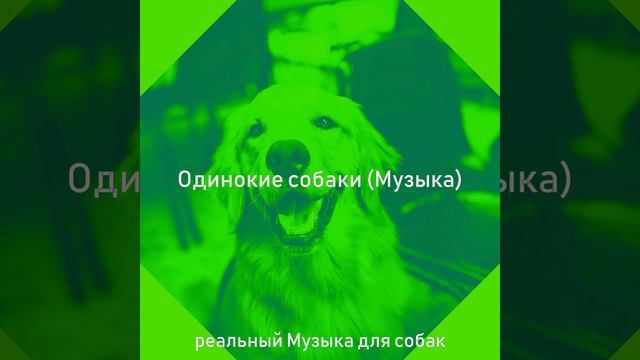 Атмосфера (Милые Собаки) смотреть онлайн