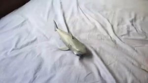 Jaws 2 shark death scene recreation (toys)