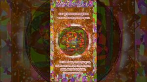 СБОР для комнатных растений 1.  COLLECTION for indoor plants 1