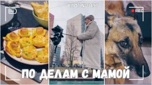 ВЛОГ №3497: Едем про делам с мамой | Готовлю вкусняшки | Арина вам читает  28.01.25