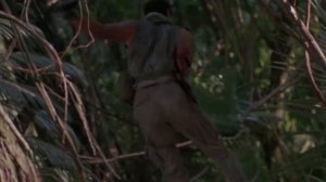 Почему эти актёры боевиков больше не снимаются в кино - Майкл Дудикофф , Джет Ли и др .