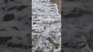 День#8. 20.11.22 завтрак и территория Mylome Luxury5* ТЦ Nova Moll в Сиде. Возвращаемся в Анталию.