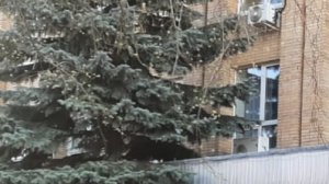 крах мировой системы, и построение общинного строя.