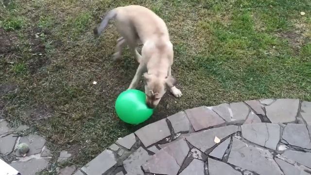 Ка де Бо Агнес смотреть онлайн