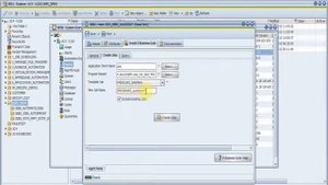 OEBS AutoImport Programs wmv