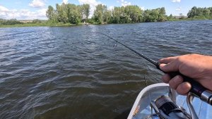 Июльские сызранские судаки на Flutter JigIt