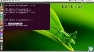 Инструкции Linux - #16 урок. Запуск исполняемых файлов. Клавиатурные сокращения