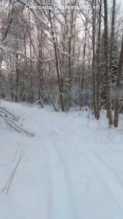 Покатушки на снегоходах с друзьями! BRP Тундра, Стелс Капитан, горник Арктик Кэт и Stalker! Что круч