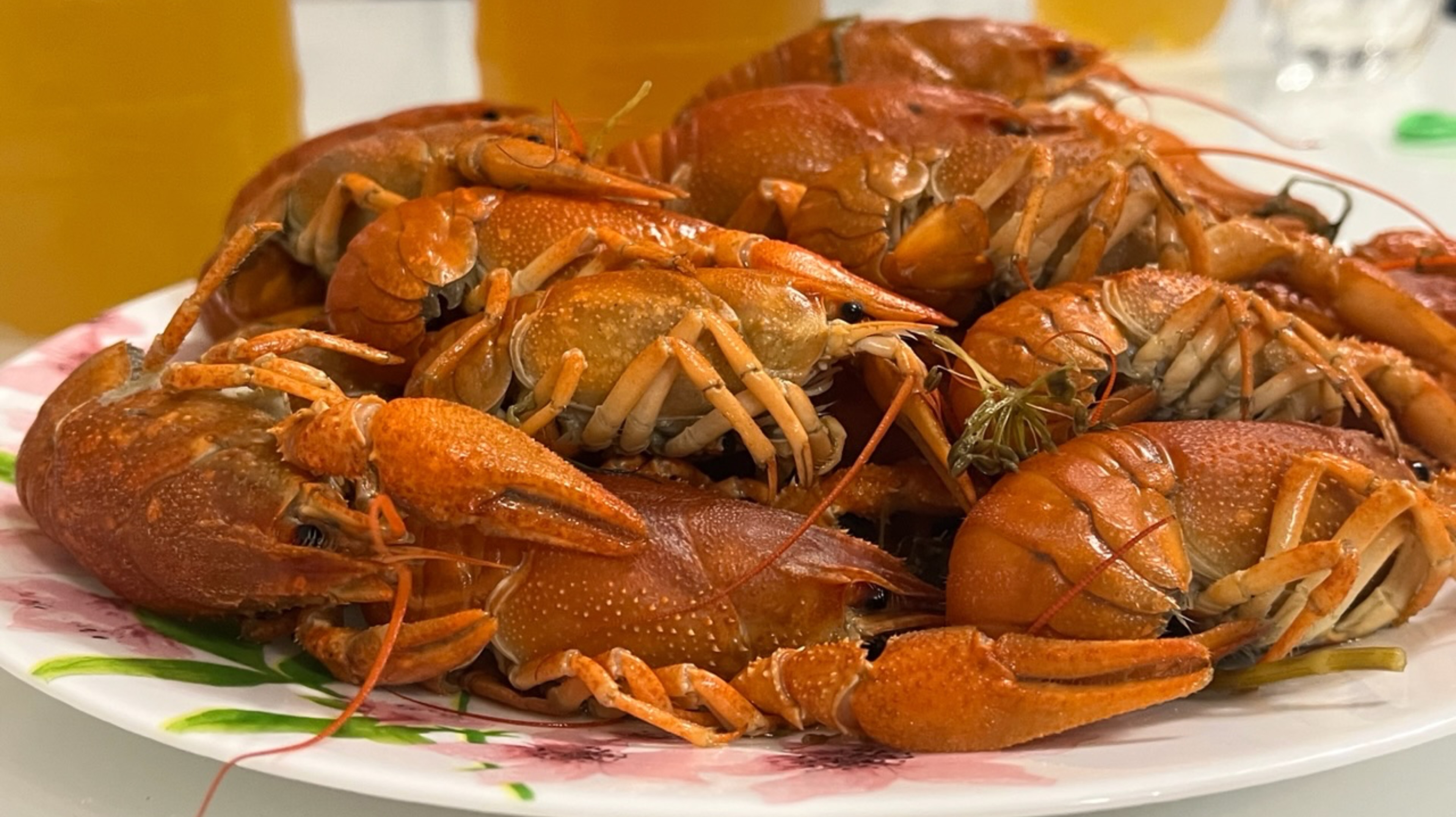 Рыбалка Ставропольский край. Хутор Шести пробуем ловить раков 🦞