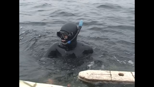Сомятники \ Подводная охота Александр Кочубей