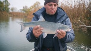 Рыбалка на нижней Волге! Секреты Астраханской рыбалки. [Рыбалка в Астрахани] 2022г.