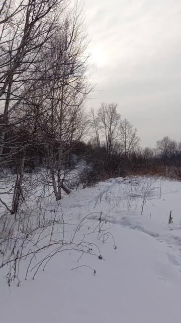 Загорье
