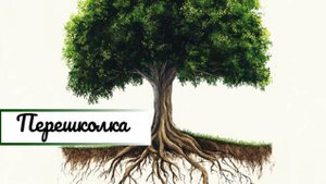 Перешколка. Что это и зачем?