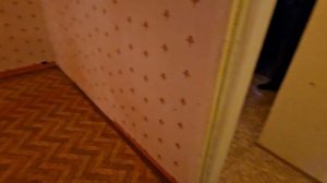 3 комнатная ул.Красная.mp4