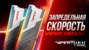 Оперативная память Viper Venom DDR5