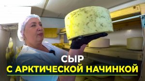 Ноябрьская сыроварня запустила линейку северных вкусов