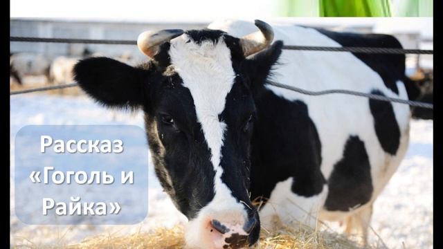 Василий Шукшин "Гоголь и Райка" смотреть онлайн