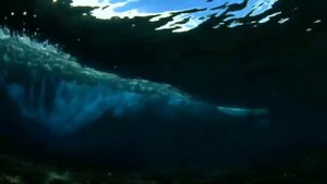 Headway 5th edition pre-intermediate unit 8