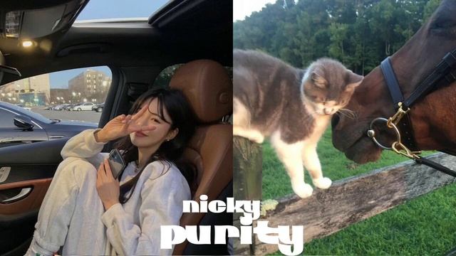 //самблиминал-чистота//твой дом такой чистый...//ники//читайте описание 💌🎧 смотреть онлайн