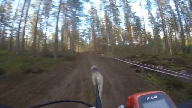 DS1W RNB Белые Ночи - 2019. 2-ой этап смотреть онлайн