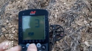 GARRETT APEX Vs MINELAB EQUINOX 800 - www.mhe-detector.com