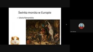 Ani świnka, ani morska. Historia kawi domowej - Artur Olchowy