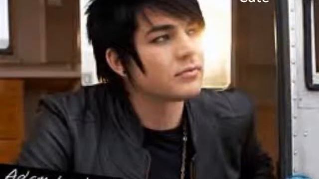 Cutest Pictures Of Adam Lambert смотреть онлайн