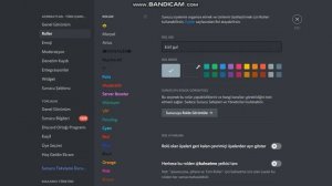 discord zira bot ile rollerin ayarlanmasi