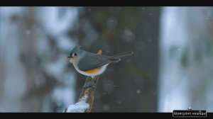 #Islam#Quran#TaHa#ٌMinshawiy#Коран#СурТаХа#СамыеКрасивыеМеста#Relaxation#4кВидео#6часть#