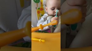 Ребёнку 8 месяцев Pigeon щетка Чистим зубки малышам