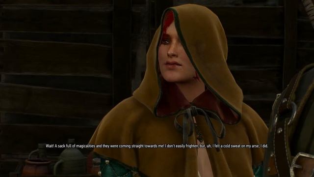The Witcher 3 - Pyres of Novigrad: Khlug Introduction Dialogue "I Can Do That" Guards Approach PS4 смотреть онлайн