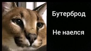 Грустные лица шлепы, ты съел: