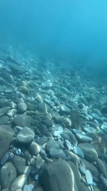 Вот это да 😲 Прозрачность воды в Чёрном Море