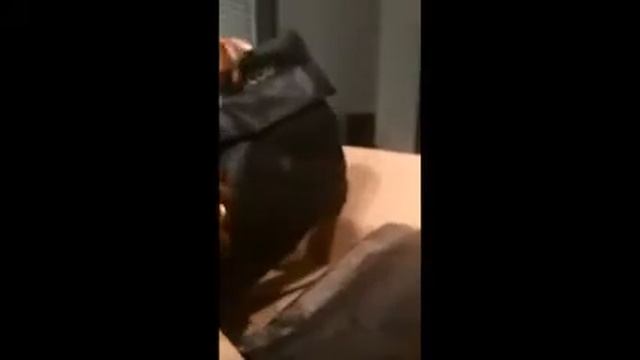 Galaxy 5000 - Calinga Ultra Coarse смотреть онлайн