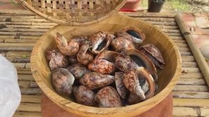 Микс-салат с улитками. Приготовление морских улиток по-деревенски.