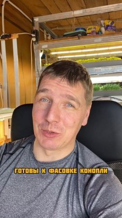 Министр выращивал коноплю
