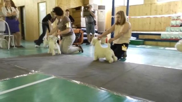 Выставка