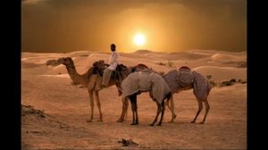 Пауло Коэльо   Алхимик аудиокнига 'целиком' Трек 21