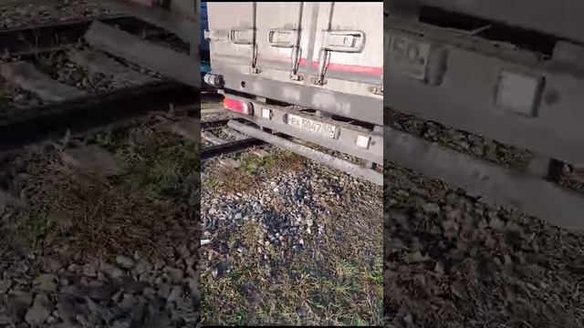 ищу работу срочно водителем категории Е