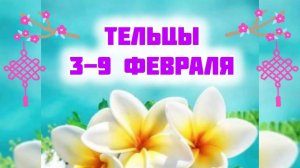 ТЕЛЬЦЫ. Неделя 3-9 февраля.