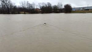 Установка GPS Автопилота UNIBOAT на двухмоторный Флайтек