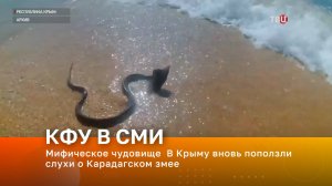 Мифическое чудовище  В Крыму вновь поползли слухи о Карадагском змее