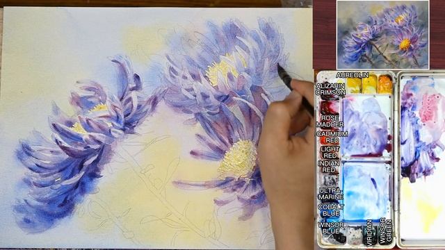 花卉水彩畫｜Watercolor Flowers｜繽紛的孔雀紫苑 смотреть онлайн