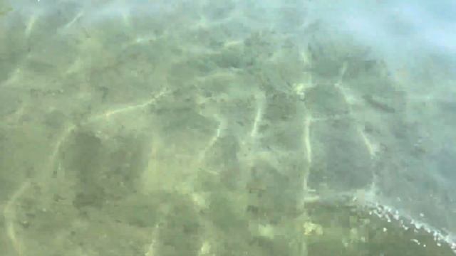 Где я купаюсь летом . Немецкое озеро