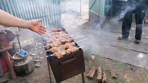 Шашлыки в кругу семьи