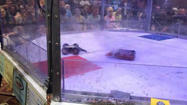 HORD Beetleweight Sparrow vsWedge of Allegience #1 смотреть онлайн