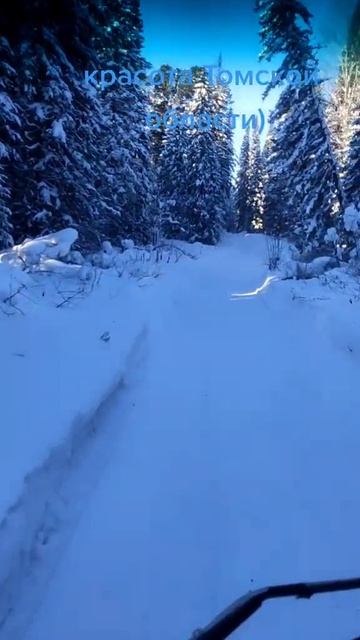 работа водителя лесовоза