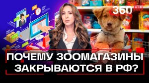 Мнение председателя Союза предприятий зообизнеса о закрытии зоомагазинов в РФ: в чем причина?